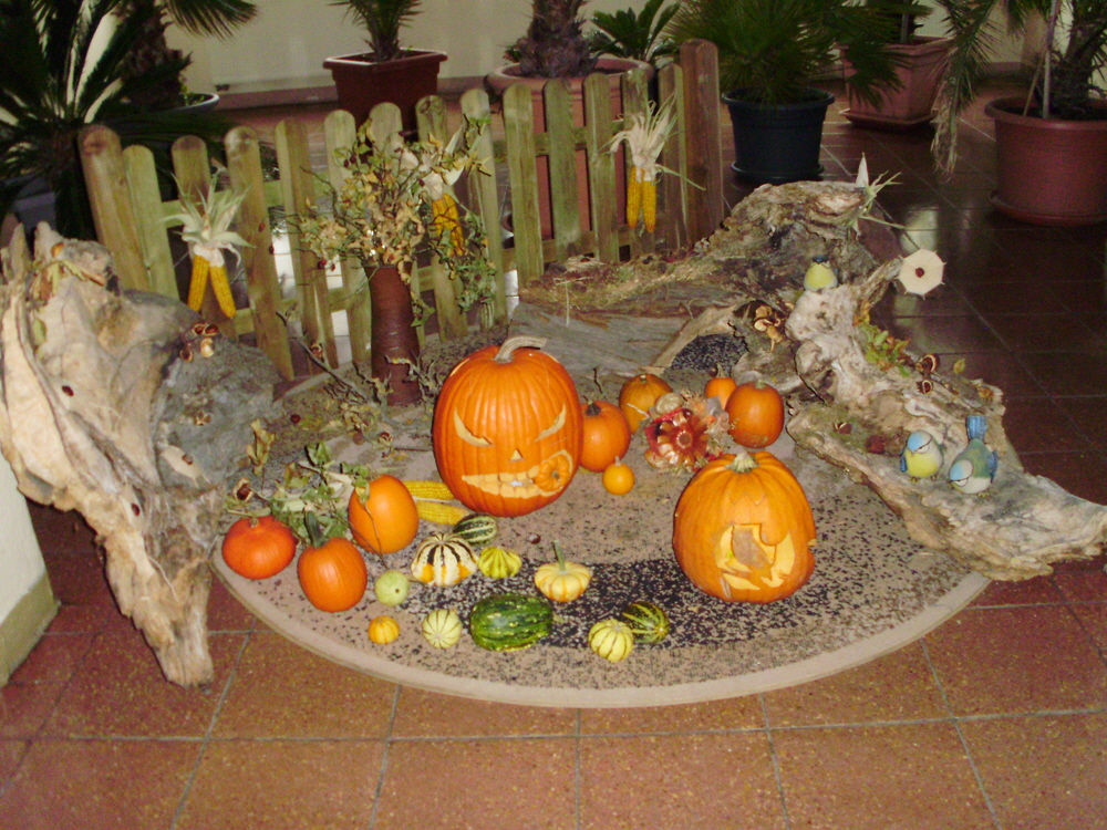 Halloween-Party (durchgefhrt von angehenden Erziehern der Fachschule fr "Wirtschaft und Soziales"
