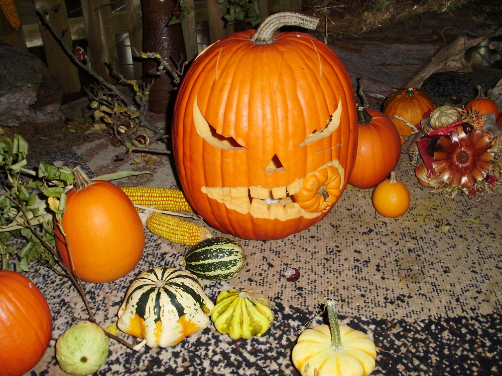 Halloween-Party (durchgefhrt von angehenden Erziehern der Fachschule fr "Wirtschaft und Soziales"