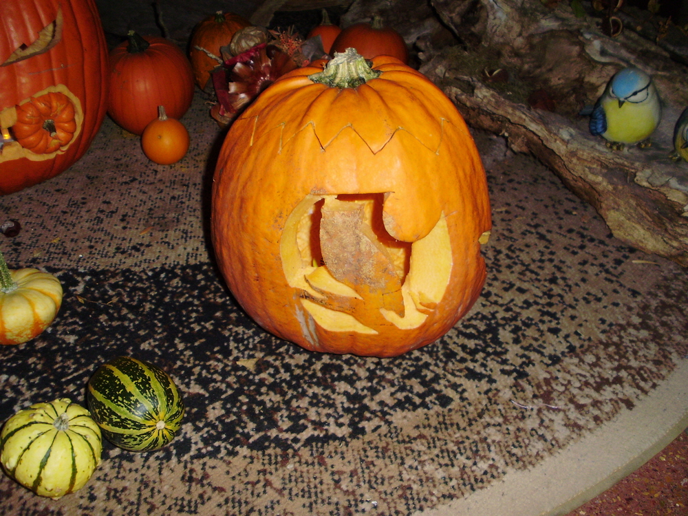 Halloween-Party (durchgefhrt von angehenden Erziehern der Fachschule fr "Wirtschaft und Soziales"