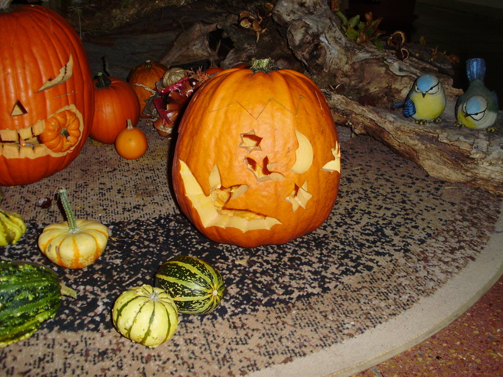 Halloween-Party (durchgefhrt von angehenden Erziehern der Fachschule fr "Wirtschaft und Soziales"