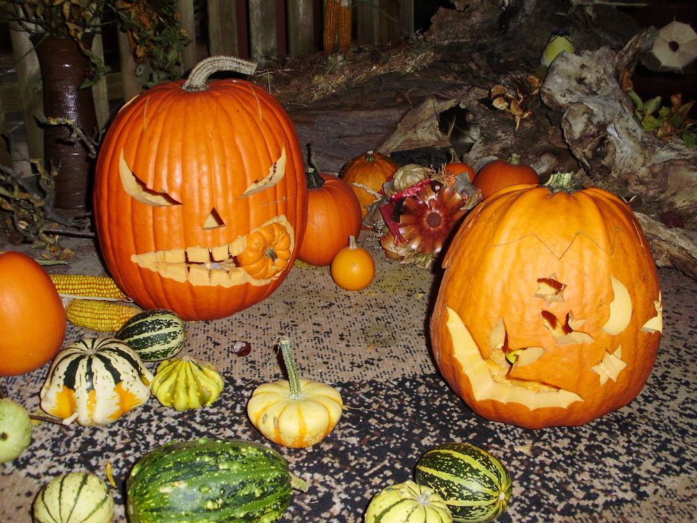 Halloween-Party (durchgefhrt von angehenden Erziehern der Fachschule fr "Wirtschaft und Soziales"