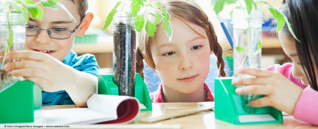 Foto Kinder forschen mit Pflanzen © Hero Images/Hero Images – stock.adobe.com